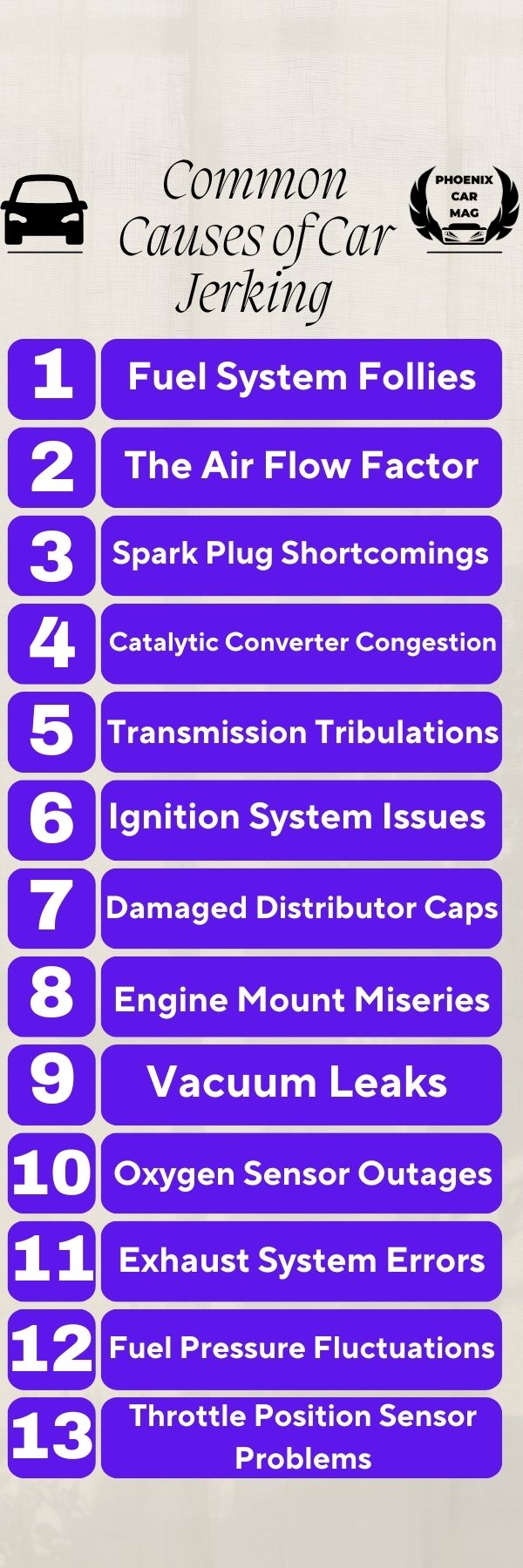 an infographic about Throttle Position Sensor Problems